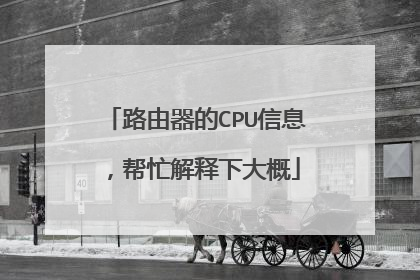 路由器的CPU信息，帮忙解释下大概