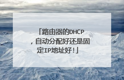 路由器的DHCP,自动分配好还是固定IP地址好!