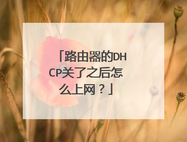 路由器的DHCP关了之后怎么上网？