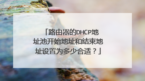 路由器的DHCP地址池开始地址和结束地址设置为多少合适？