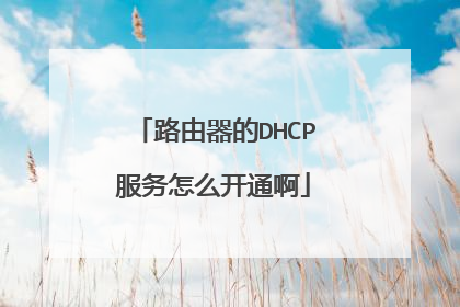路由器的DHCP服务怎么开通啊