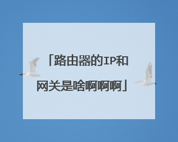 路由器的IP和网关是啥啊啊啊