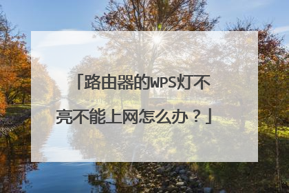 路由器的WPS灯不亮不能上网怎么办?