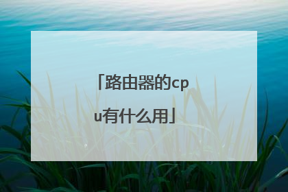 路由器的cpu有什么用