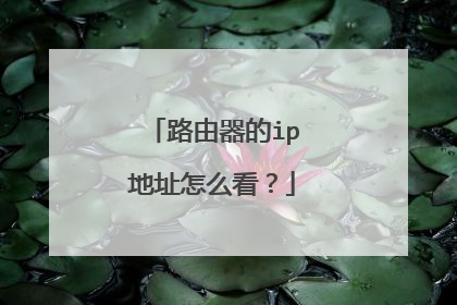 路由器的ip地址怎么看？