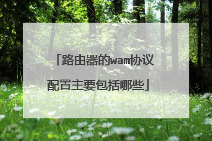 路由器的wam协议配置主要包括哪些
