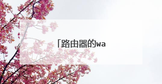 路由器的wan口怎么设置