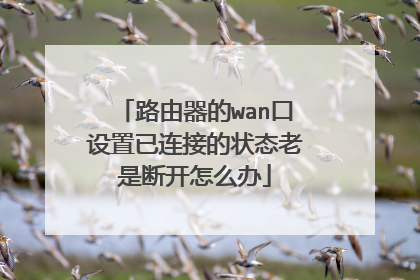 路由器的wan口设置已连接的状态老是断开怎么办