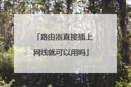 路由器直接插上网线就可以用吗