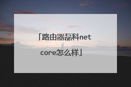 路由器磊科netcore怎么样