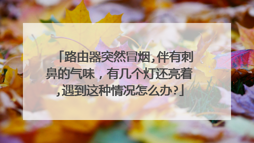 路由器突然冒烟,伴有刺鼻的气味,有几个灯还亮着,遇到这种情况怎么办?