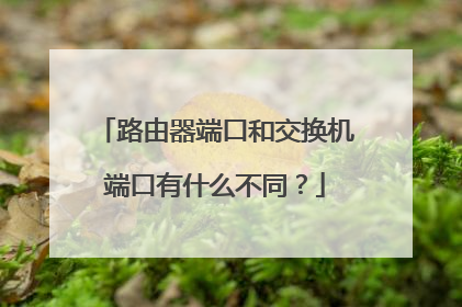 路由器端口和交换机端口有什么不同？