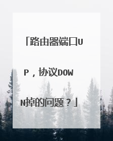 路由器端口UP,协议DOWN掉的问题?