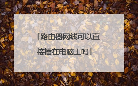 路由器网线可以直接插在电脑上吗