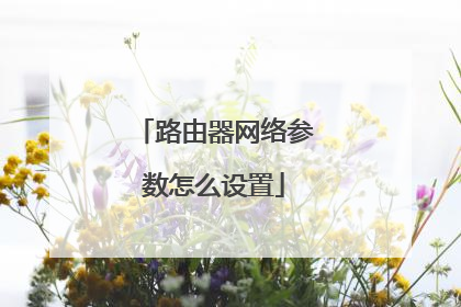 路由器网络参数怎么设置