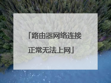 路由器网络连接正常无法上网