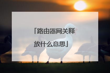 路由器网关释放什么意思