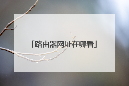 路由器网址在哪看