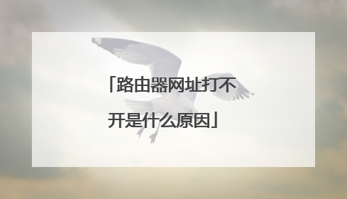路由器网址打不开是什么原因