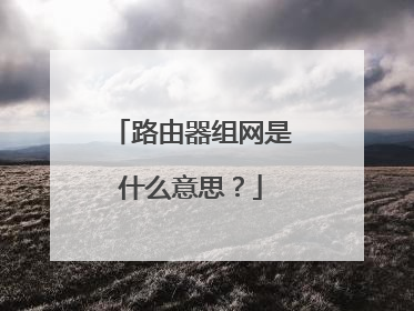 路由器组网是什么意思？