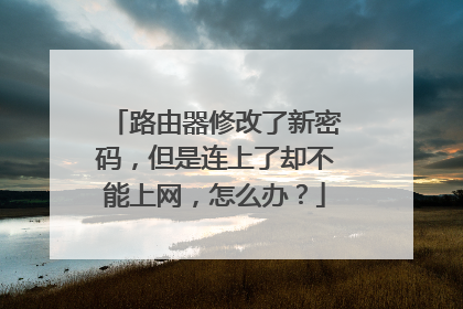 路由器修改了新密码,但是连上了却不能上网,怎么办?