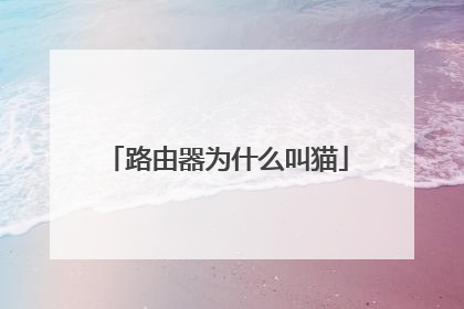 路由器为什么叫猫