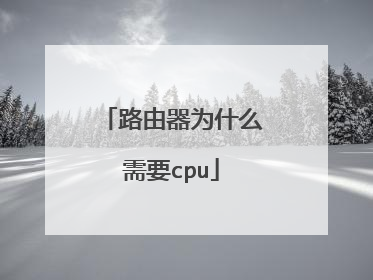 路由器为什么需要cpu