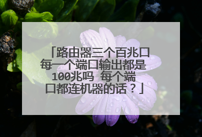 路由器三个百兆口每一个端口输出都是100兆吗 每个端口都连机器的话？