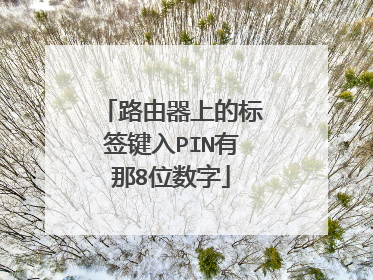路由器上的标签键入PIN有那8位数字