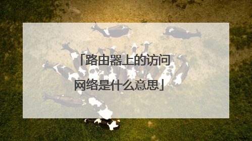 路由器上的访问网络是什么意思