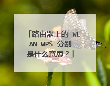 路由器上的 WLAN WPS 分别是什么意思？