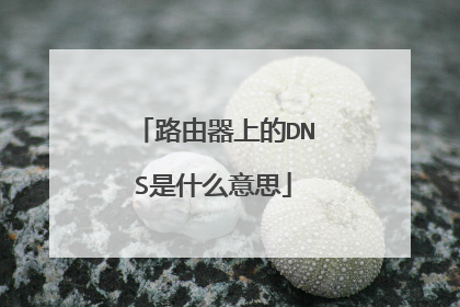 路由器上的DNS是什么意思