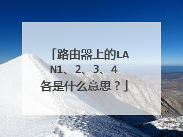 路由器上的LAN1、2、3、4各是什么意思?