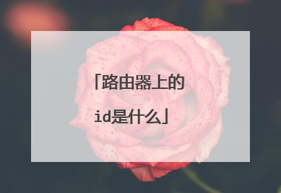 路由器上的id是什么