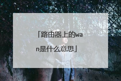 路由器上的wan是什么意思