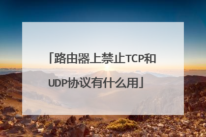 路由器上禁止TCP和UDP协议有什么用