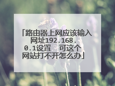 路由器上网应该输入网址192.168.0.1设置  可这个网站打不开怎么办