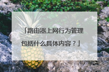 路由器上网行为管理包括什么具体内容？
