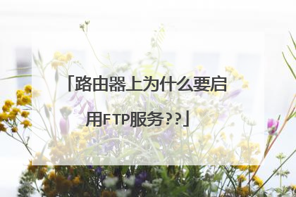 路由器上为什么要启用FTP服务??