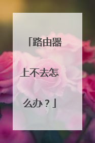 路由器上不去怎么办?