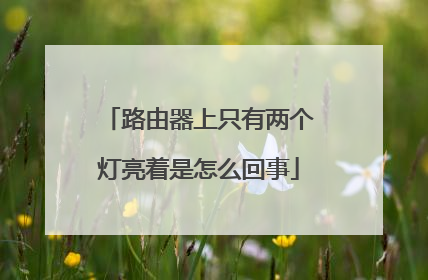 路由器上只有两个灯亮着是怎么回事