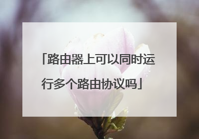 路由器上可以同时运行多个路由协议吗