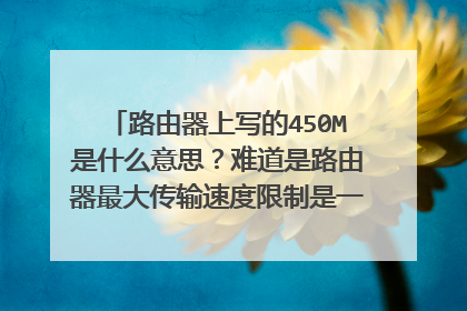 路由器上写的450M是什么意思?难道是路由器最大传输速度限制是一秒450M吗?