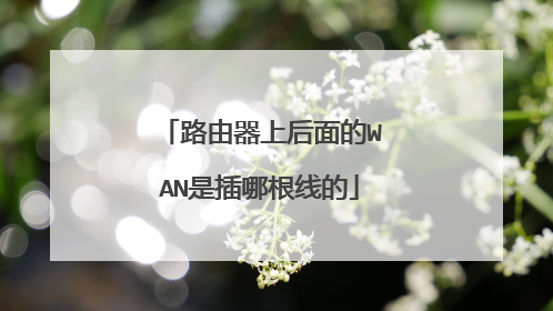 路由器上后面的WAN是插哪根线的