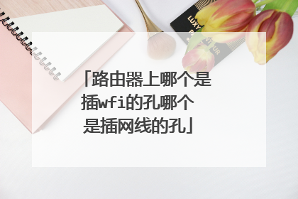 路由器上哪个是插wfi的孔哪个是插网线的孔