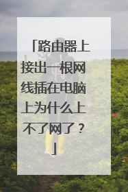 路由器上接出一根网线插在电脑上为什么上不了网了？