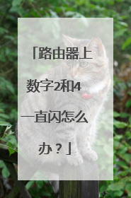 路由器上数字2和4一直闪怎么办？