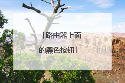 路由器上面的黑色按钮