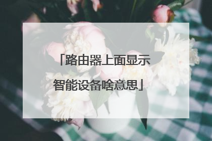 路由器上面显示智能设备啥意思