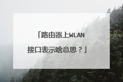 路由器上WLAN接口表示啥意思？